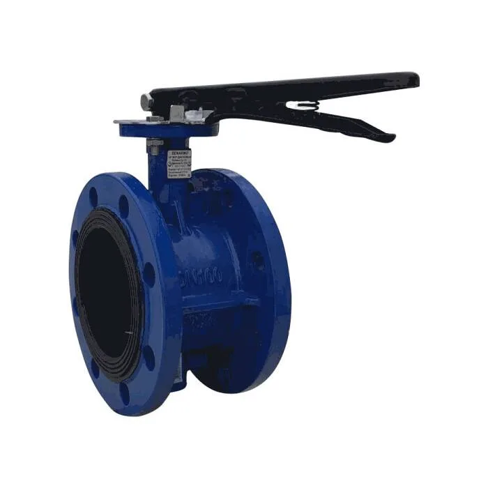 Затвор поворот чуг EPDM Ду65 Ру16 фл д/чуг 2110HA Benarmo